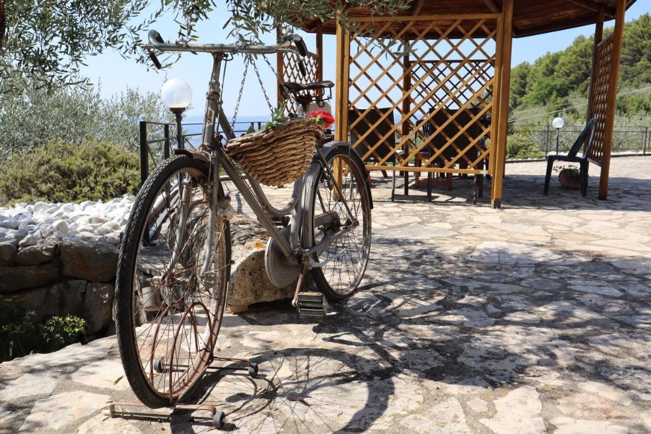 L'Asparagina Guardea Extérieur photo
